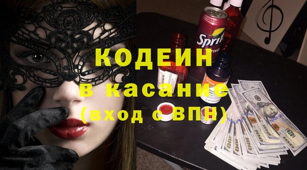 хмурый Арсеньев