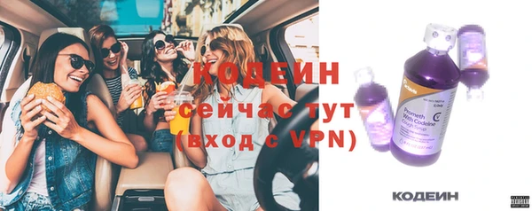 хмурый Арсеньев